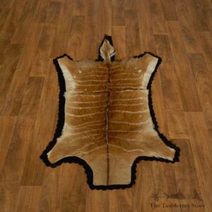 Nyala Rug Mount For Sale #17280 @ The Taxidermy Store