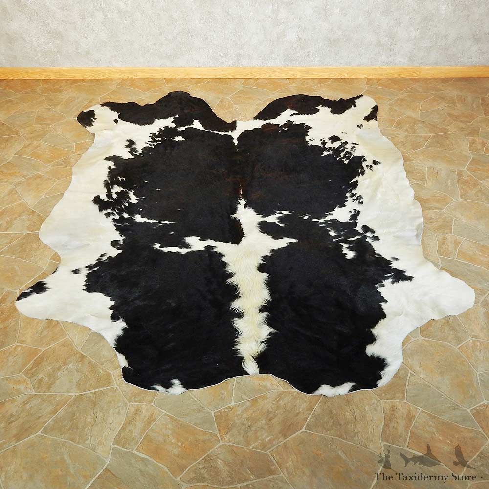 Cow Hide For Sale #15700 @ The Taxidermy Store