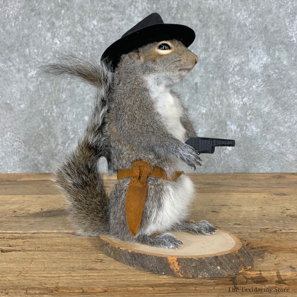 Cowboy Squirrel Novelty Mount For Sale #23056 @ The Taxidermy Store