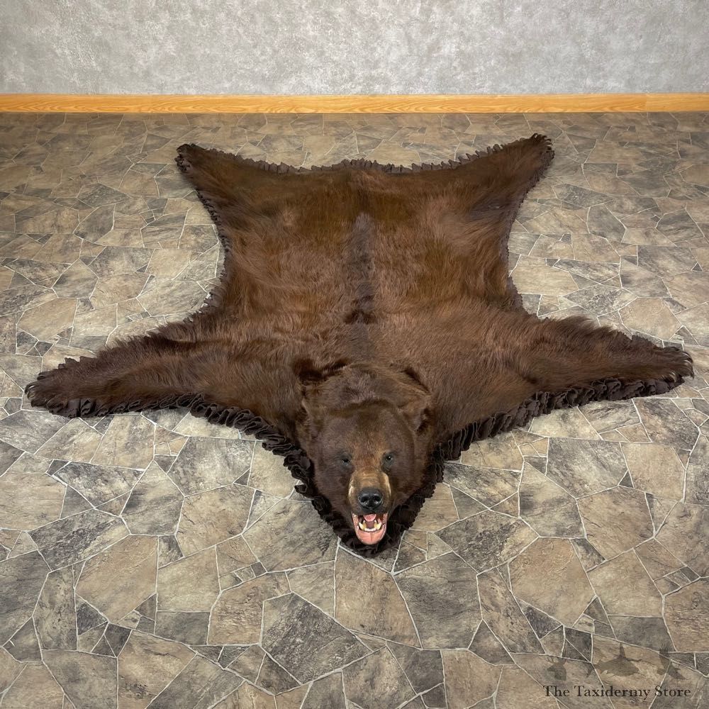 Chocolate Black Bear Full-Size Rug For Sale #24685 @ The Taxidermy Store