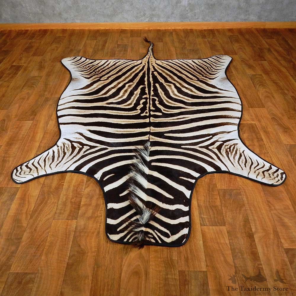 African Zebra Rug Mount For Sale #15268 @ The Taxidermy Store