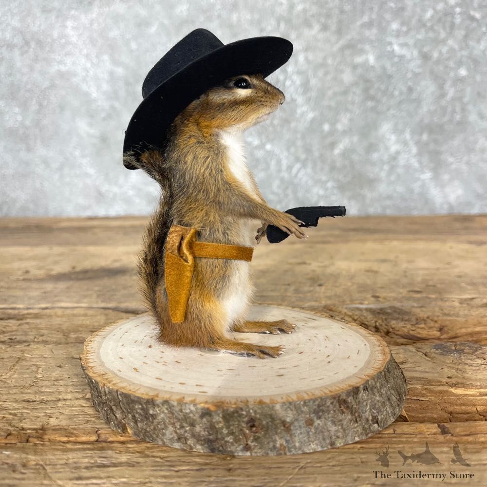 Cowboy Chipmunk Novelty Mount For Sale #24044 @ The Taxidermy Store