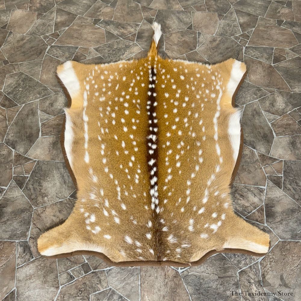 Axis Deer Hide Throw Rug For Sale #29775 @ The Taxidermy Store