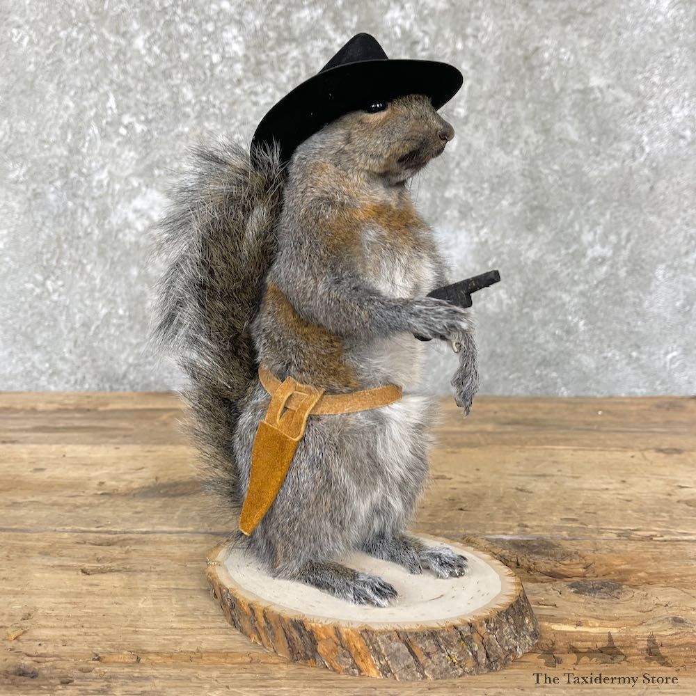Cowboy Squirrel Novelty Mount For Sale #26393 @ The Taxidermy Store
