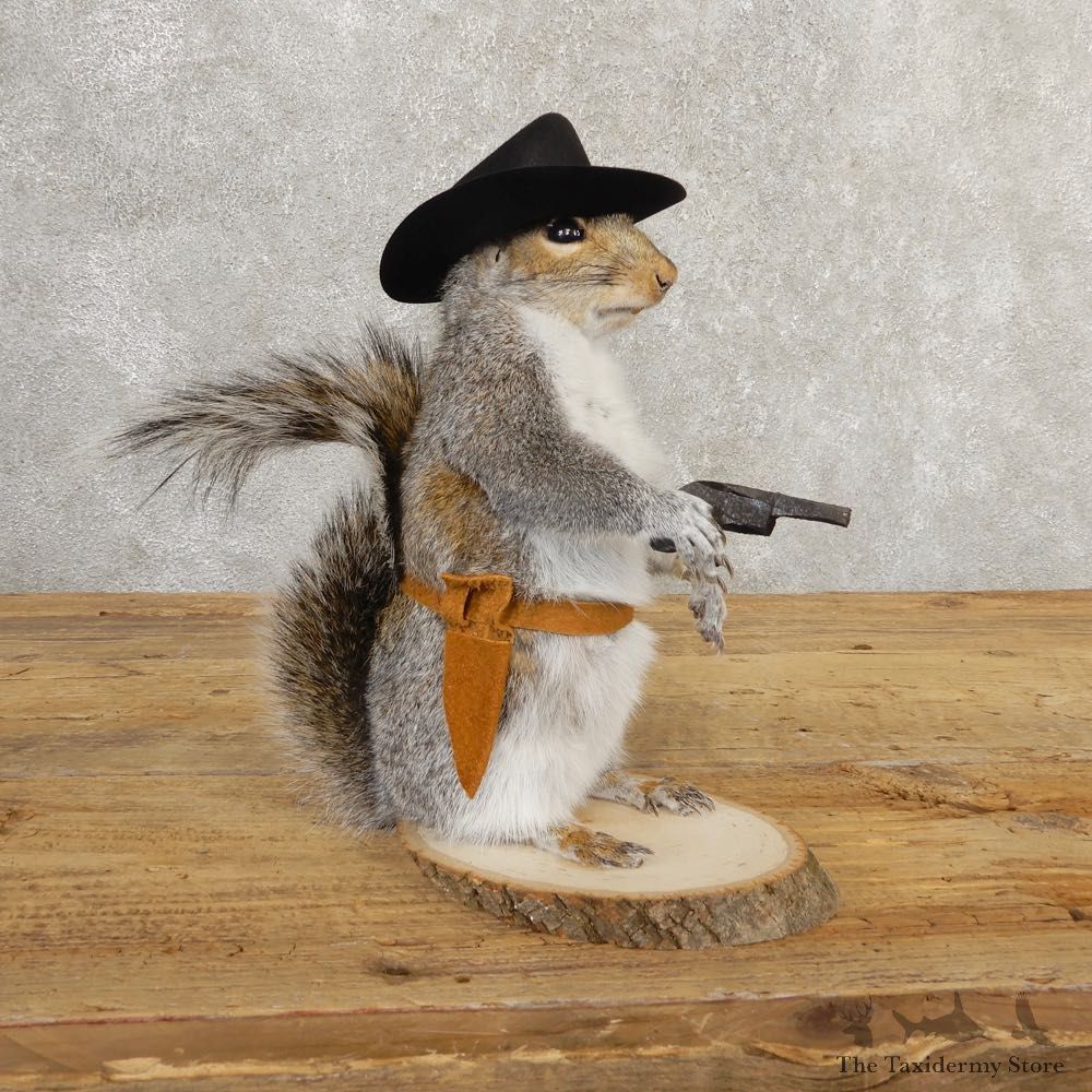 Cowboy Squirrel Novelty Mount For Sale #20719 @ The Taxidermy Store