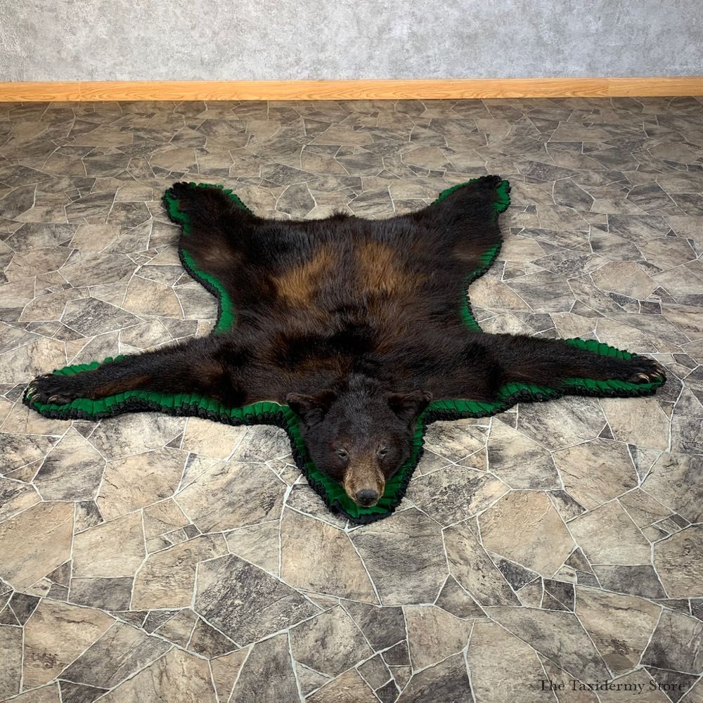 Black Bear Full-Size Rug For Sale #22108 @ The Taxidermy Store