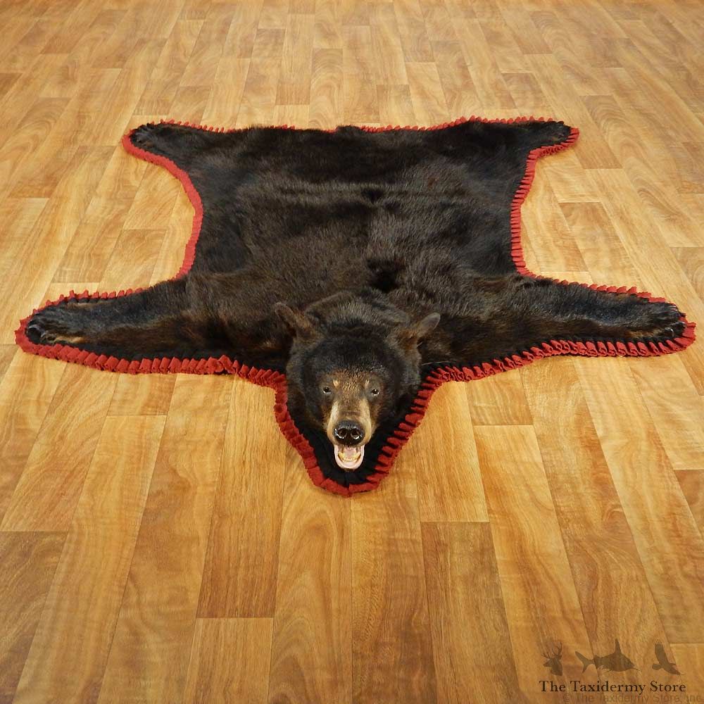 Black Bear Full-Size Taxidermy Rug #13377 For Sale @ The Taxidermy Store