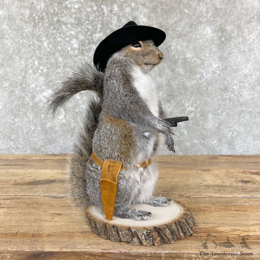 Cowboy Squirrel Novelty Mount For Sale #26388 @ The Taxidermy Store
