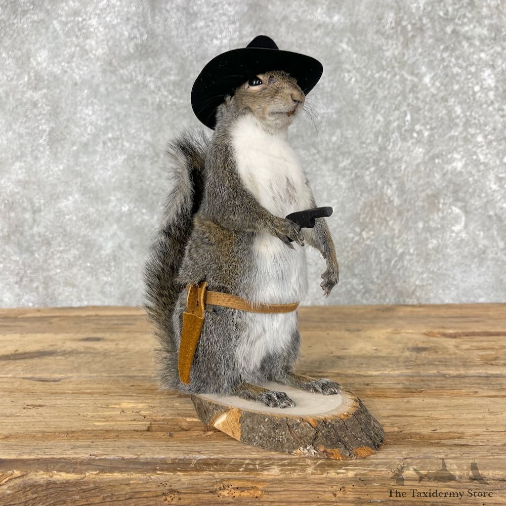 Cowboy Squirrel Novelty Mount For Sale #26082 @ The Taxidermy Store