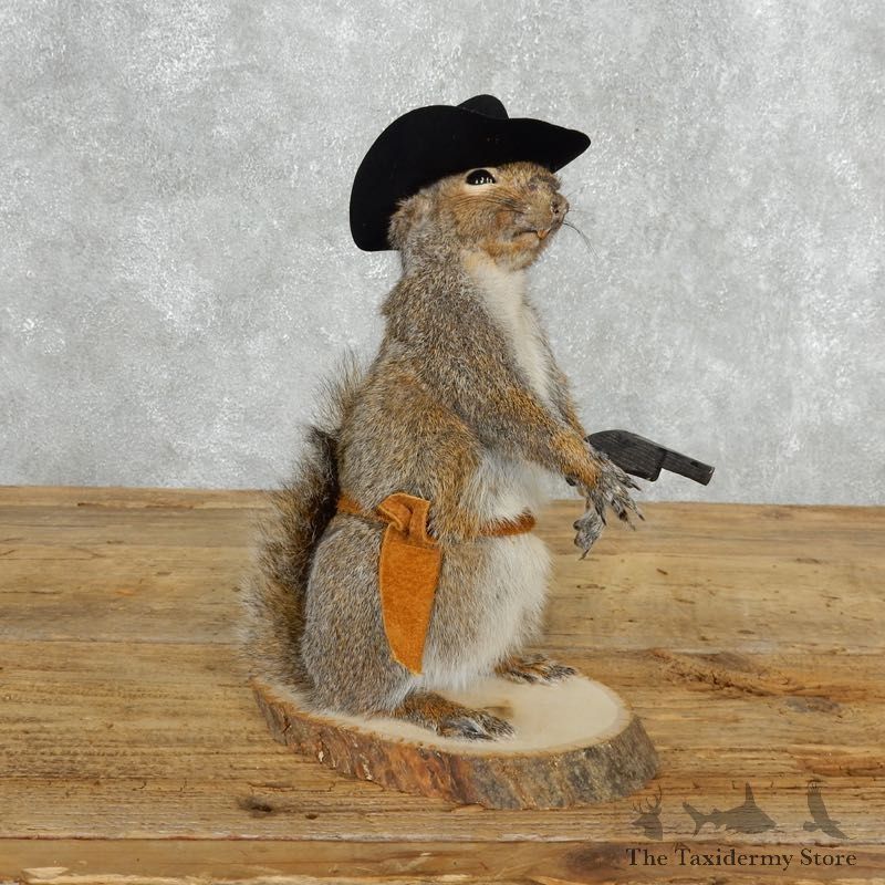 Cowboy Squirrel Novelty Mount For Sale #18190 @ The Taxidermy Store