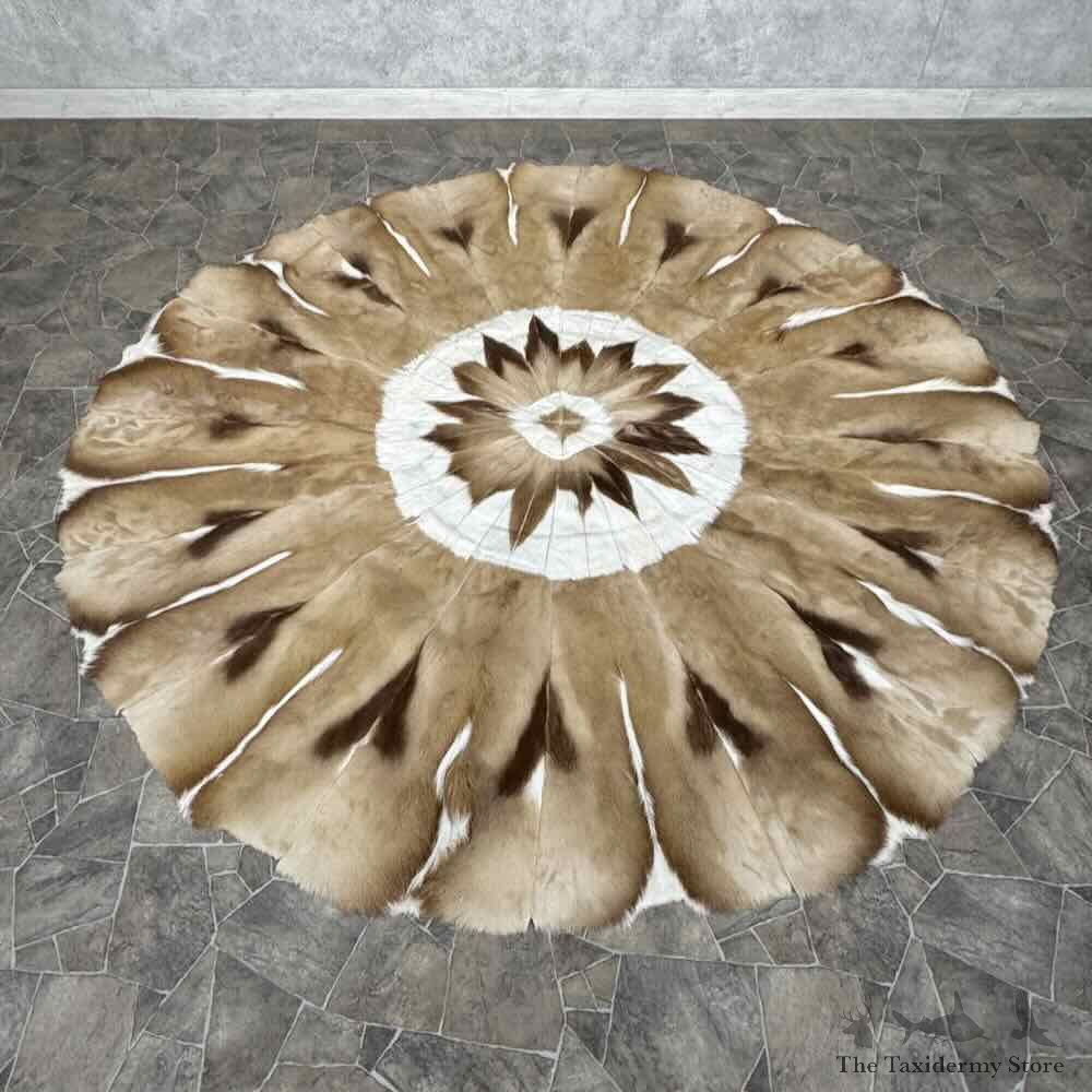 African Springbok Throw Rug For Sale #31889 @ The Taxidermy Store