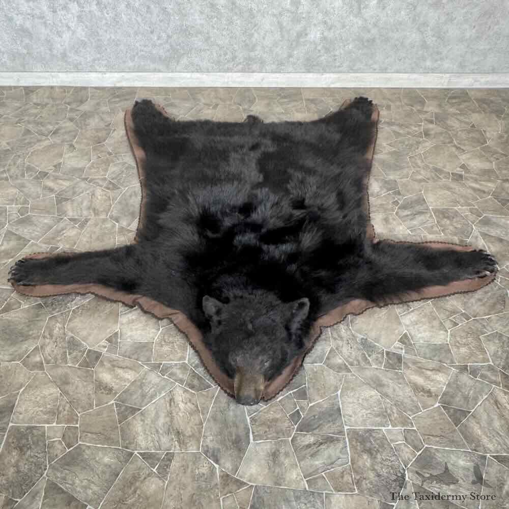 Black Bear Full-Size Rug For Sale #31030 @ The Taxidermy Store