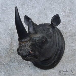 Miniature Replica Rhinoceros Shoulder Mount For Sale #15609 @ The Taxidermy Store