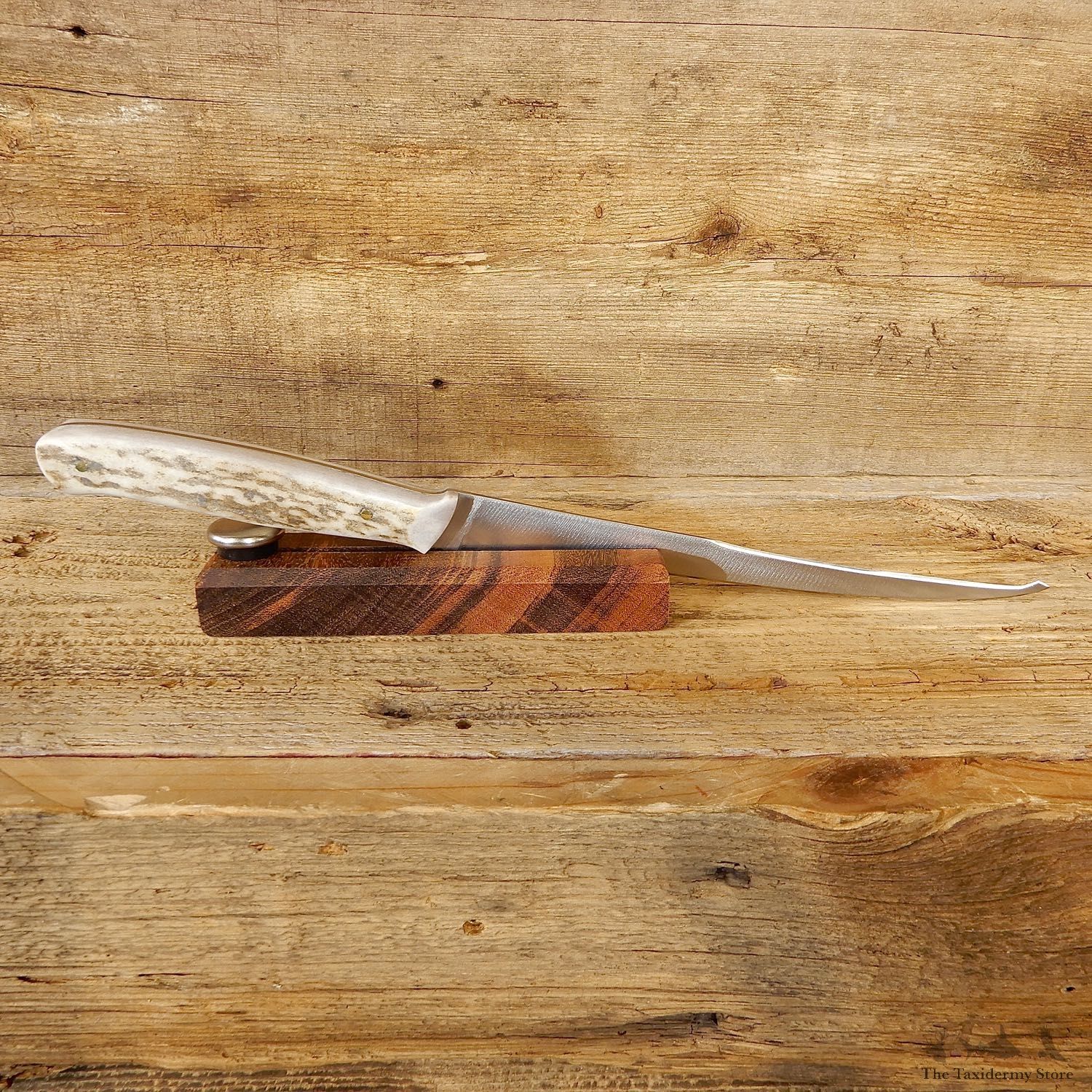 Double Edge Fillet Knife For Sale #19215 @ The Taxidermy Store