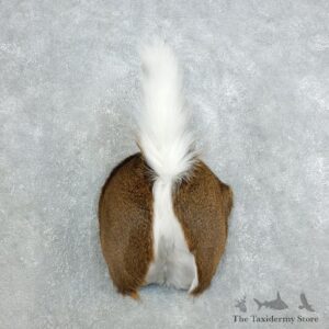 Whitetail Deer Rump Mount For Sale #18404 @ The Taxidermy Store