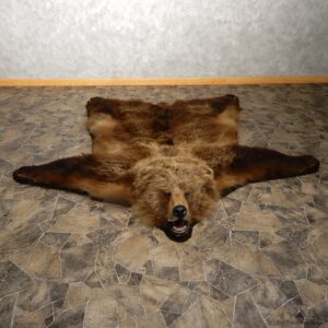 Grizzly Bear Taxidermy Rug Mount For Sale #19920 @ The Taxidermy Store