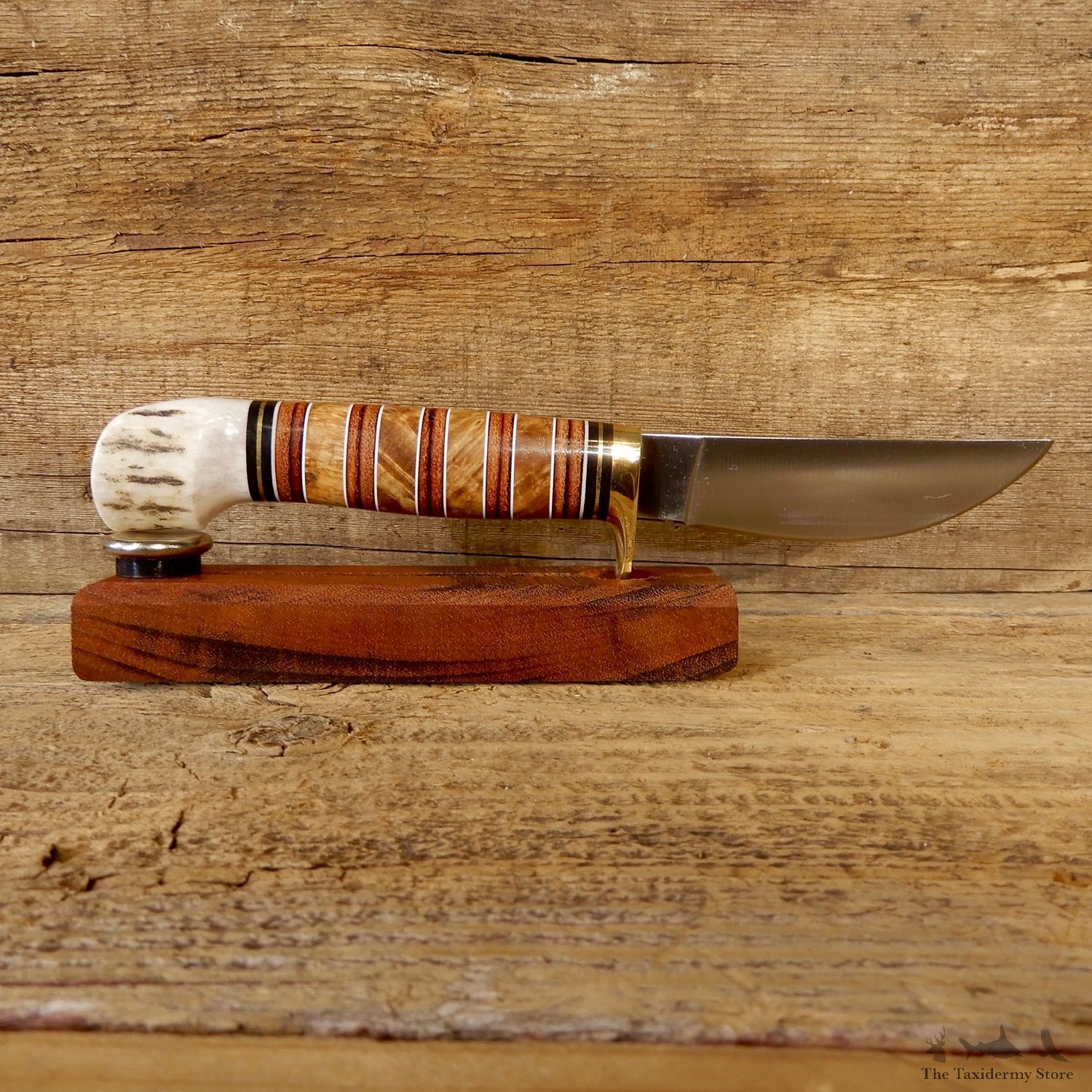 Custom Stacked Leather and Ash Burl Hunting Knife For Sale #19183 @ The Taxidermy Store