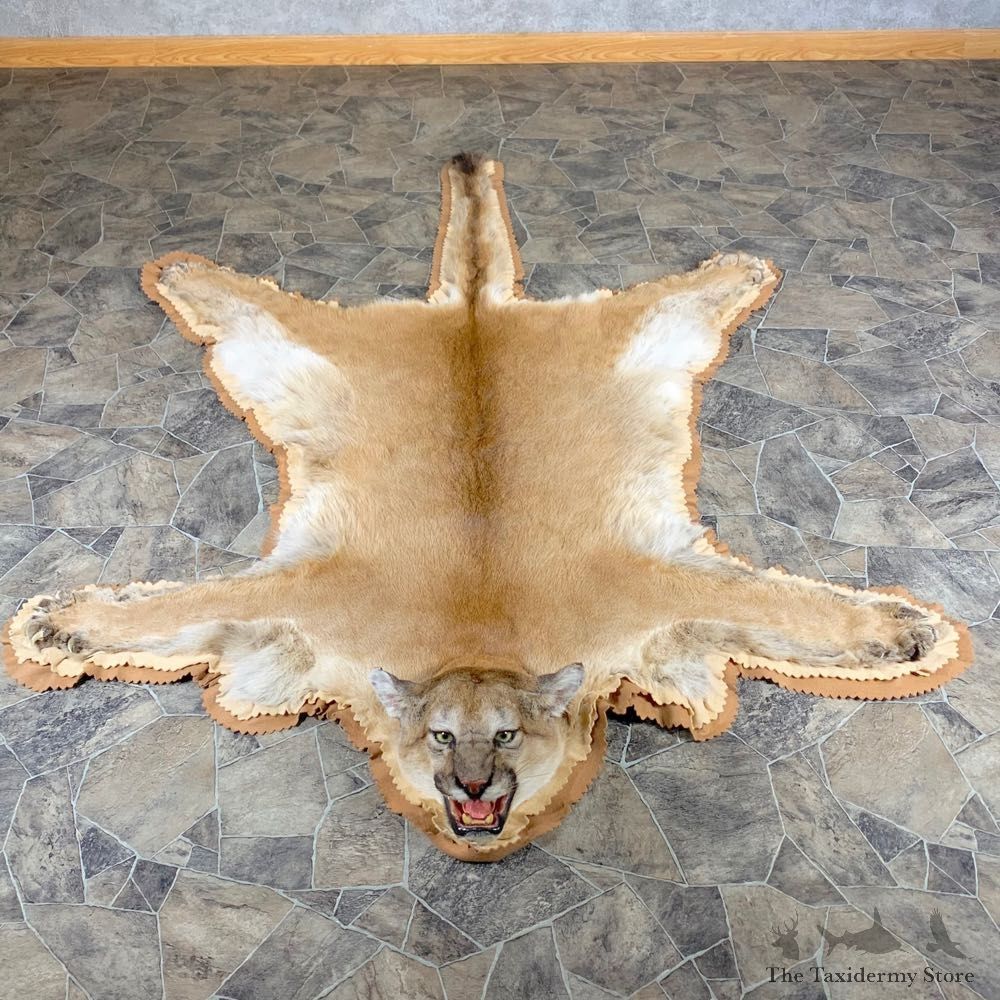 Mountain Lion Full-Size Rug For Sale #24005 @ The Taxidermy Store