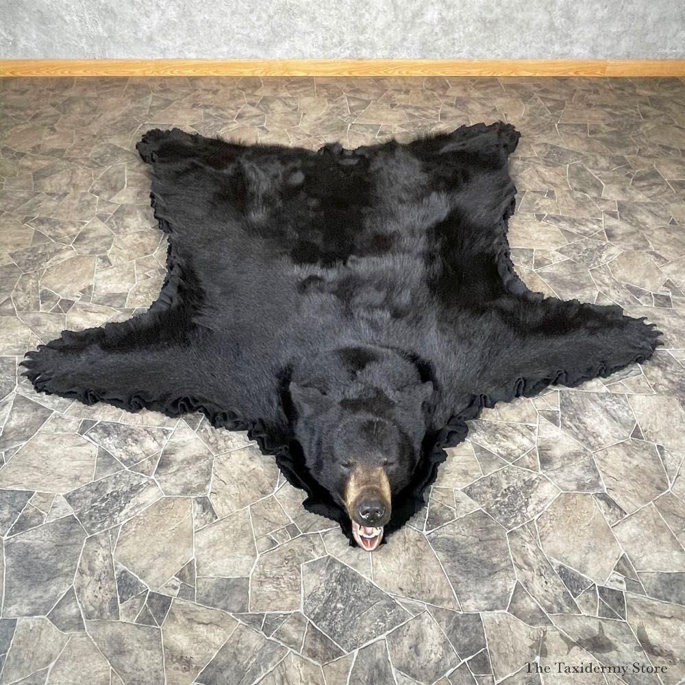 Black Bear Full-Size Rug For Sale #24315 @ The Taxidermy Store