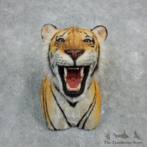 Reproduction Bengal Tiger Mount For Sale #18299 @ The Taxidermy Store