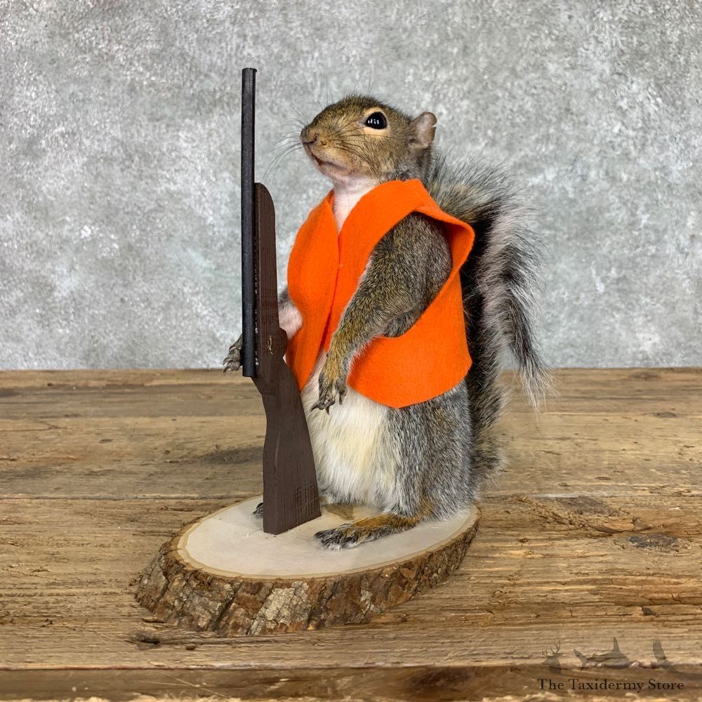Hunting Squirrel Novelty Mount For Sale #22400 @ The Taxidermy Store