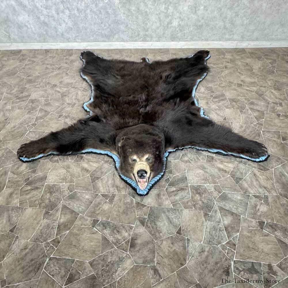 Black Bear Full-Size Rug For Sale #31034 @ The Taxidermy Store