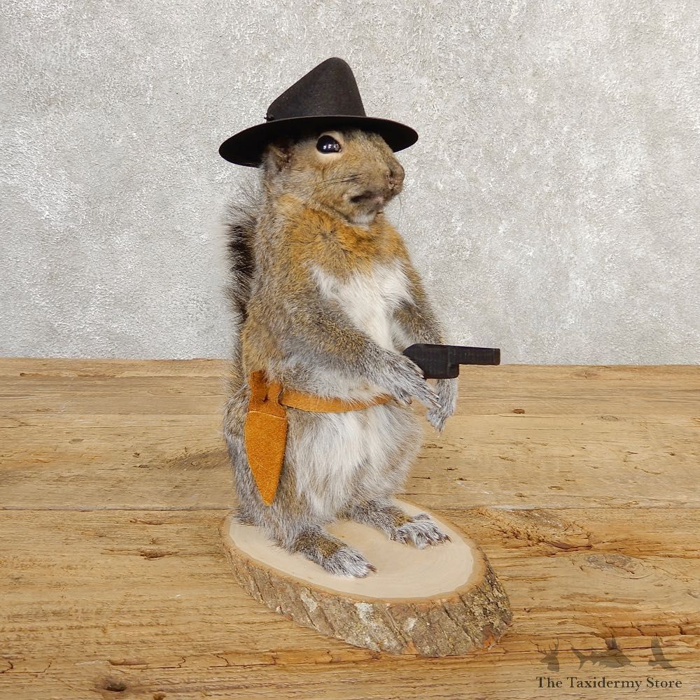 Cowboy Squirrel Novelty Mount For Sale #20716 @ The Taxidermy Store