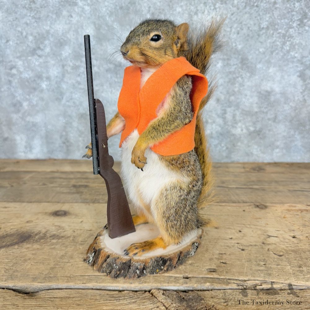 Hunting Squirrel Novelty Mount For Sale #29489 @ The Taxidermy Store