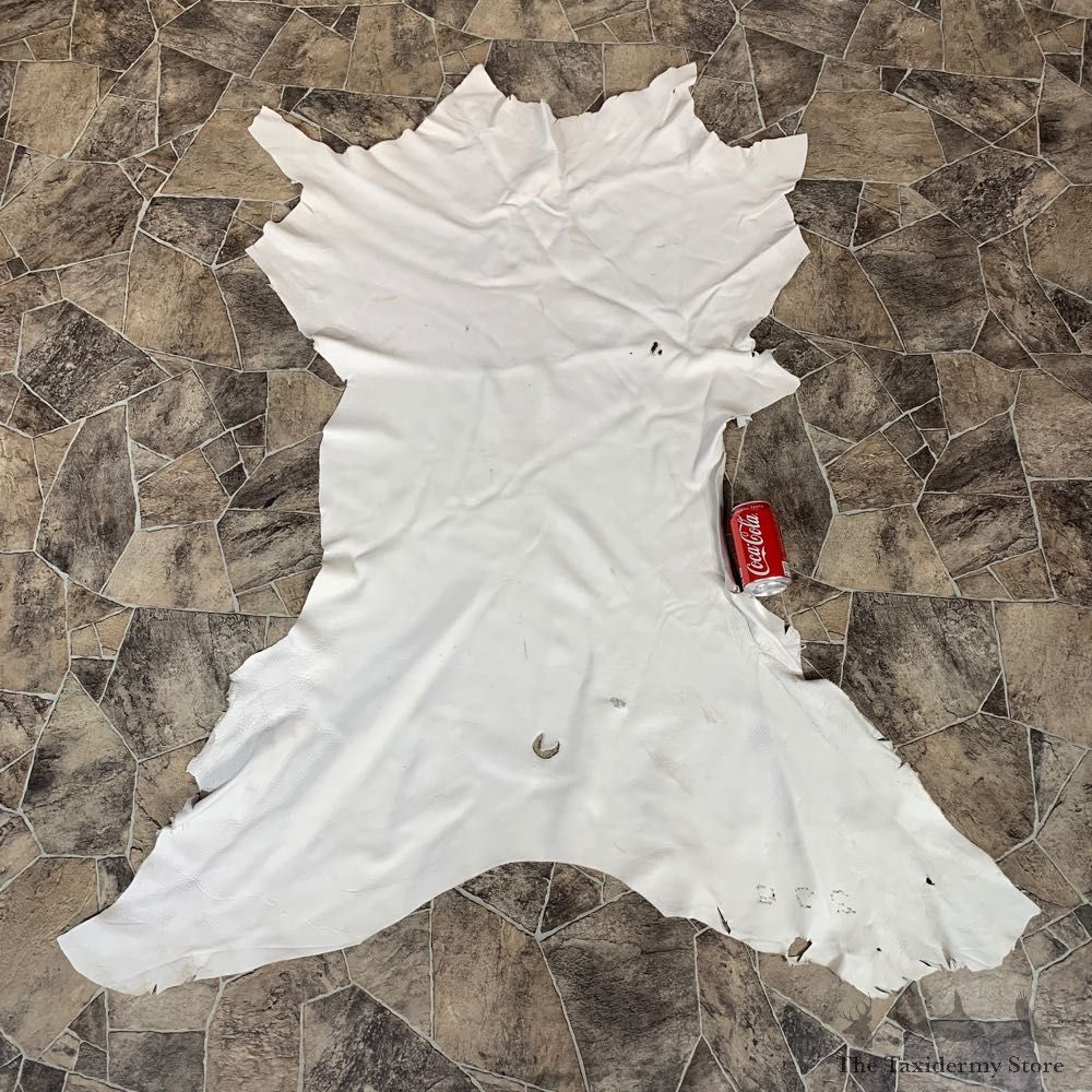 Buckskin Soft Tan Leather For Sale #22026 @ The Taxidermy Store