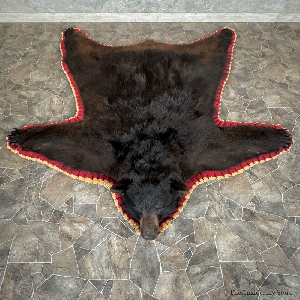 Black Bear Full-Size Rug For Sale #29301 @ The Taxidermy Store