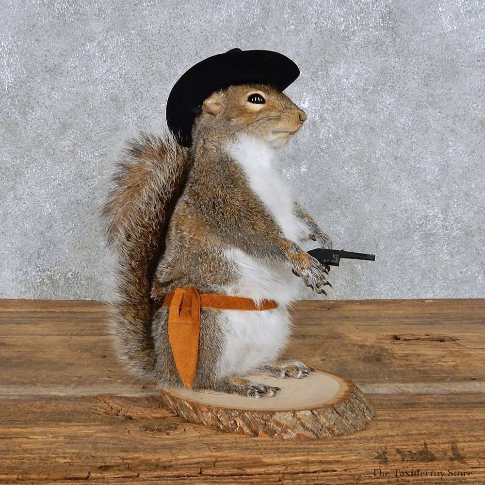 Novelty Cowboy Squirrel Mount For Sale #14404 @ The Taxidermy Store