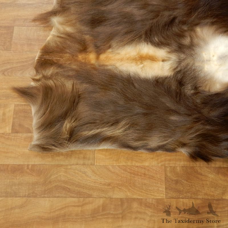 Himalayan Tahr Hide Taxidermy Rug Mount #17452 For Sale @ The Taxidermy Store