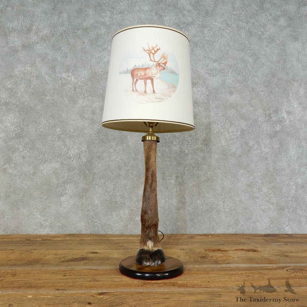 Caribou Hoof Lamp For Sale #16262 @ The Taxidermy Store