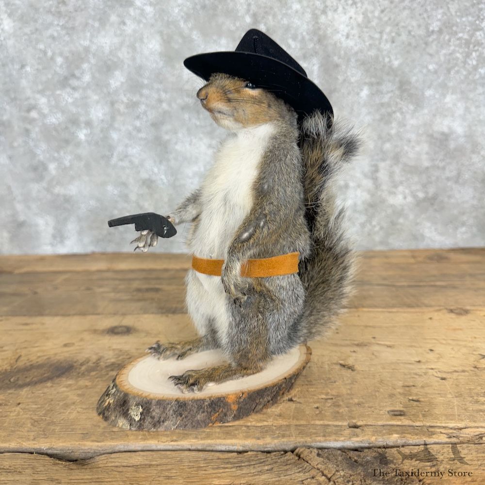 Cowboy Squirrel Novelty Mount For Sale #29481 @ The Taxidermy Store