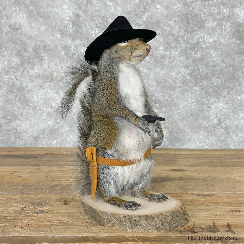 Cowboy Squirrel Novelty Mount For Sale #28605 @ The Taxidermy Store