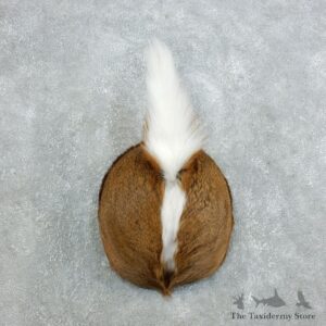 Whitetail Deer Rump Mount For Sale #18396 @ The Taxidermy Store