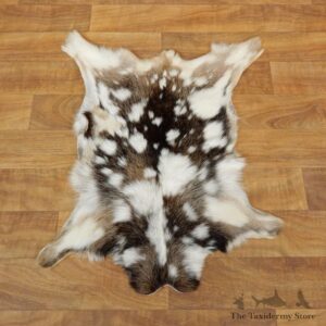 Multi-Color Goat Hide Taxidermy Tanned Skin For Sale #17878 @ The Taxidermy Store