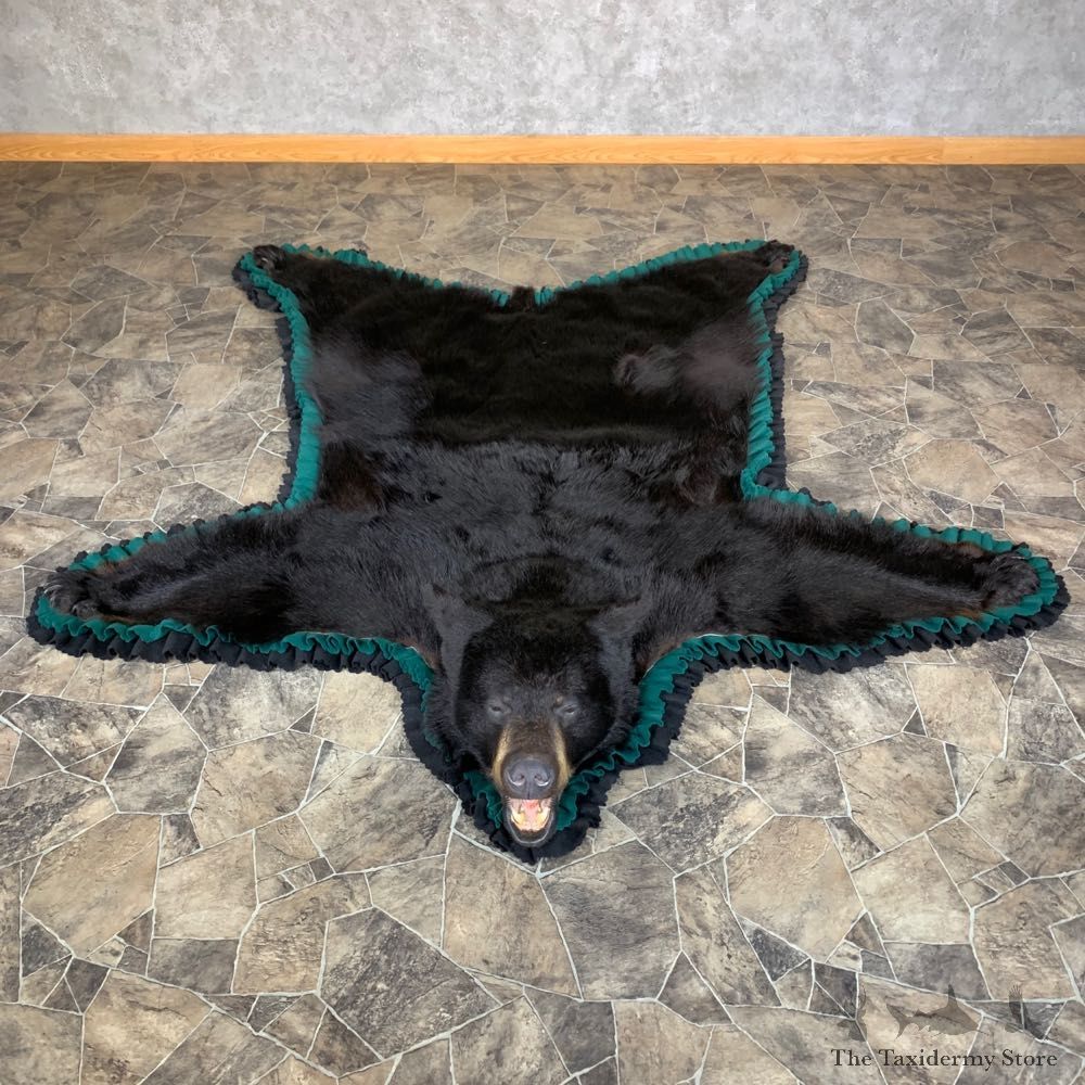 Black Bear Full-Size Rug For Sale #23331 @ The Taxidermy Store
