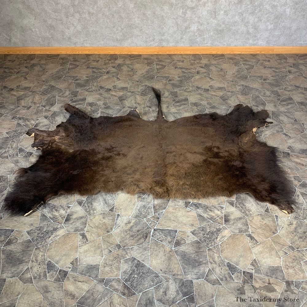 American Buffalo Throw Rug Taxidermy Mount #21862 For Sale @ The Taxidermy Store