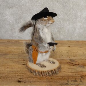 Cowboy Squirrel Novelty Mount For Sale #20724 @ The Taxidermy Store