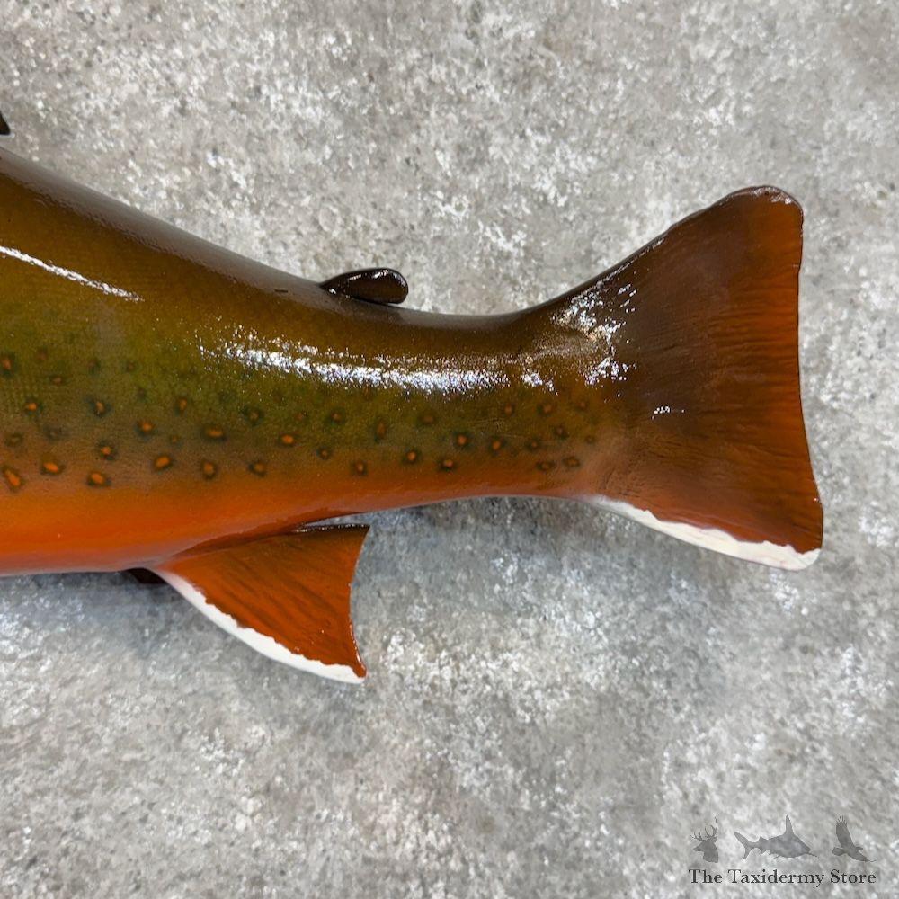 Arctic Char Fish Mount For Sale #30114 @ The Taxidermy Store