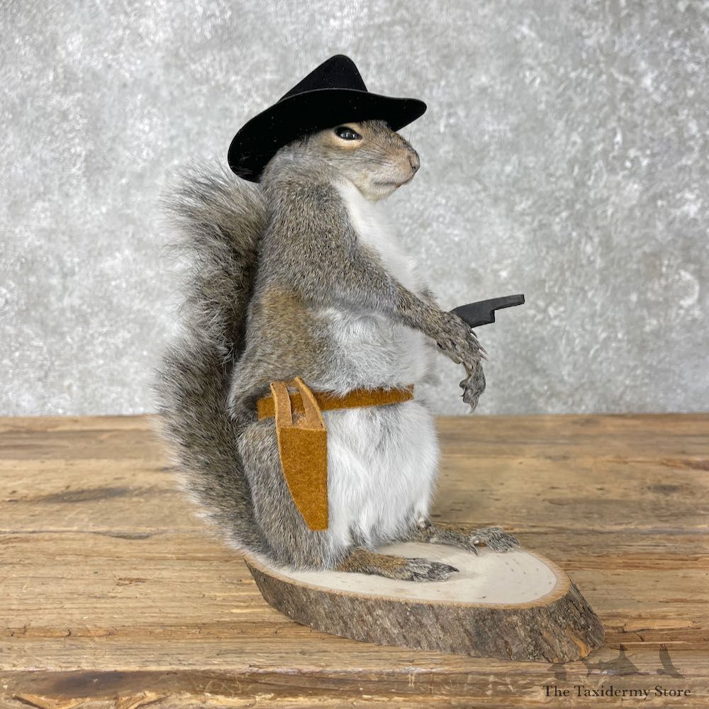 Cowboy Squirrel Novelty Mount For Sale #26080 @ The Taxidermy Store