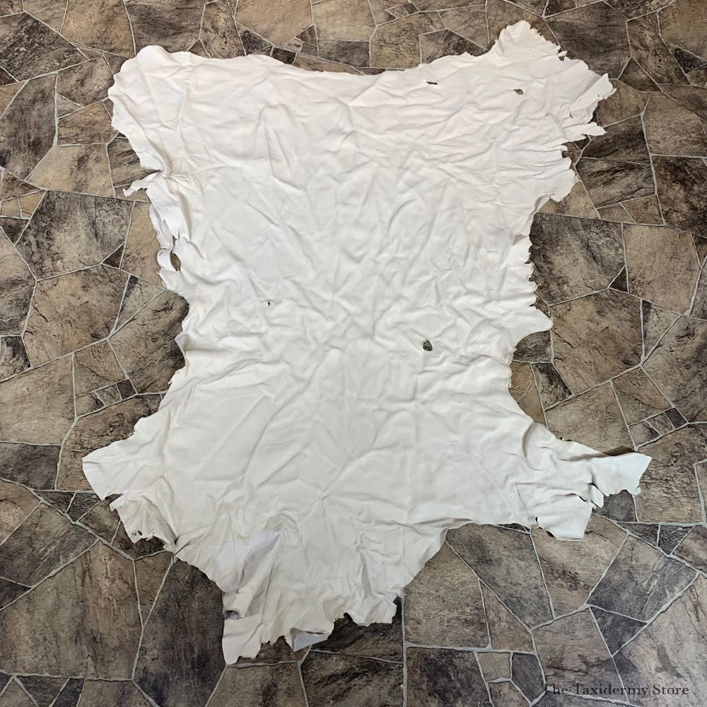Buckskin Soft Tan Leather For Sale #22035 @ The Taxidermy Store