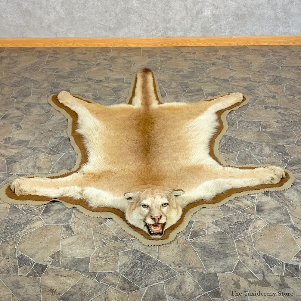Mountain Lion Full-Size Rug For Sale #22548 @ The Taxidermy Store
