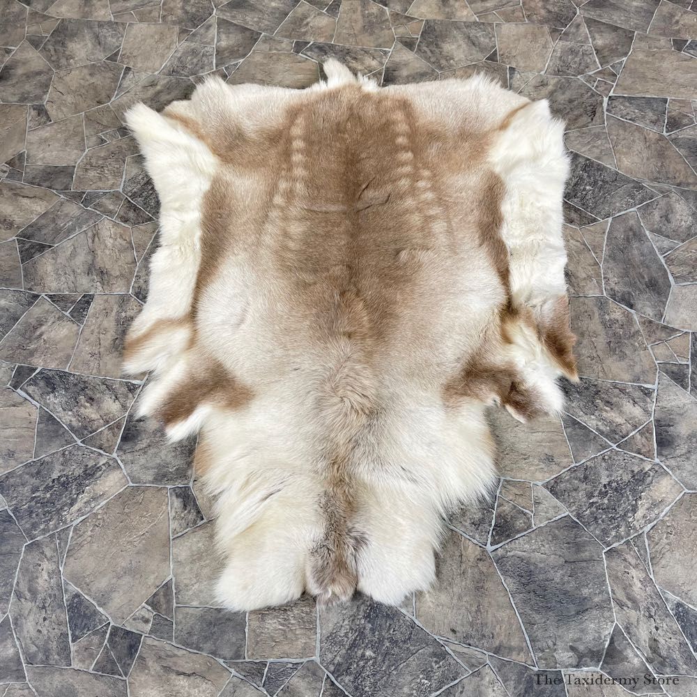 Decorative Caribou Hide For Sale #24318 @ The Taxidermy Store