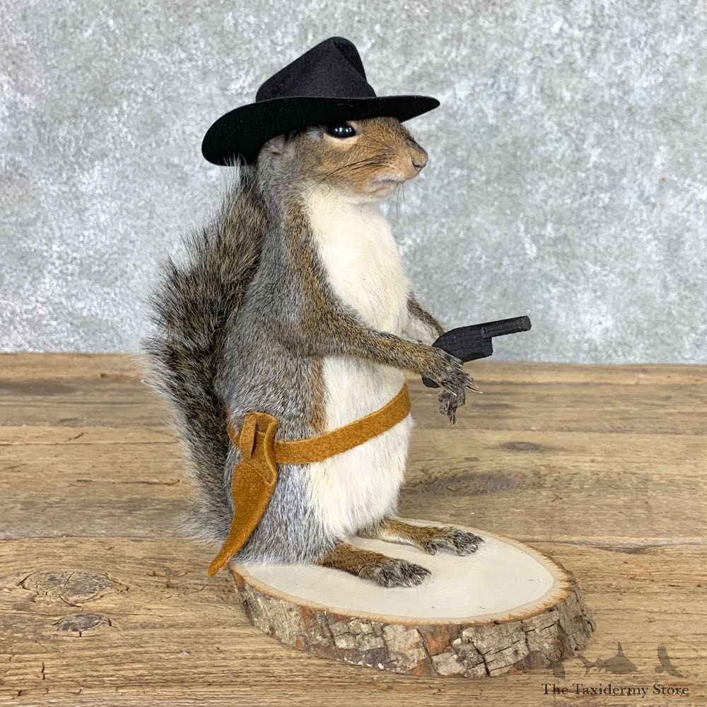 Cowboy Squirrel Novelty Mount For Sale #22436 @ The Taxidermy Store 1