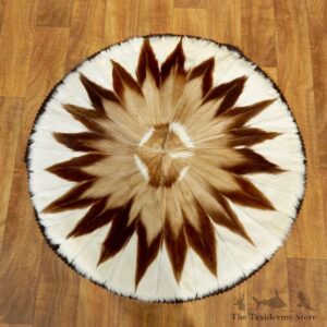 Springbok Rug Mount For Sale #17501 @ The Taxidermy Store