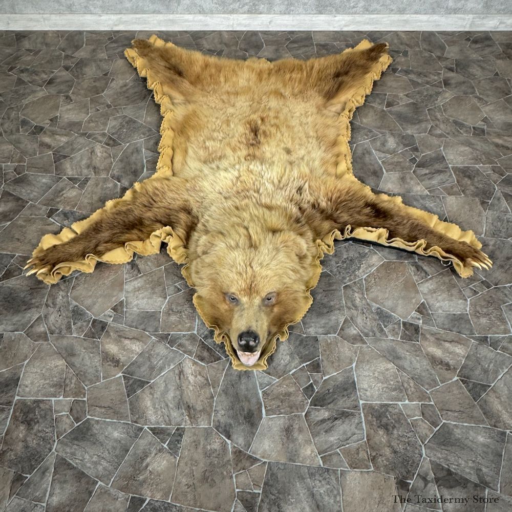 Grizzly Bear Full Size Rug Mount For Sale #29320 @ The Taxidermy Store