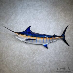 Blue Marlin Fish Mount For Sale #15847 @ The Taxidermy Store