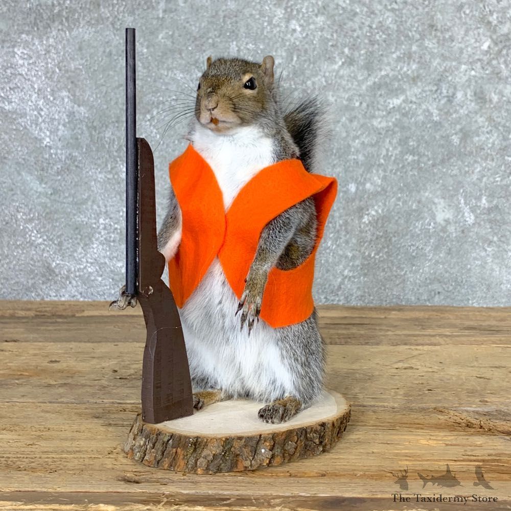 Hunting Squirrel Novelty Mount For Sale #22940 @ The Taxidermy Store